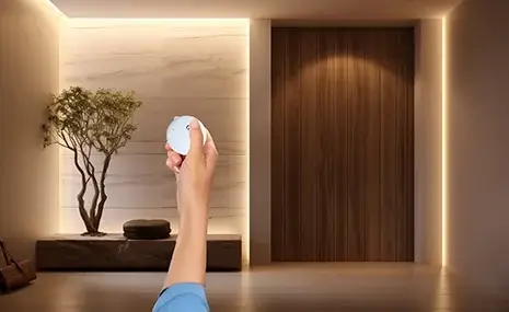 Controlere și telecomenzi