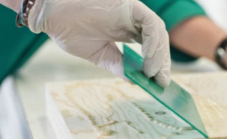 Adezivi pe bază de apă