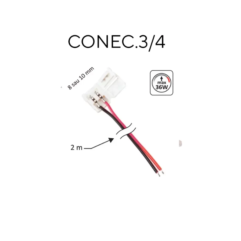 CONEC 3