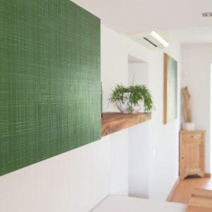 Fronturi Texture-finisaj Cactus-vopsit verde